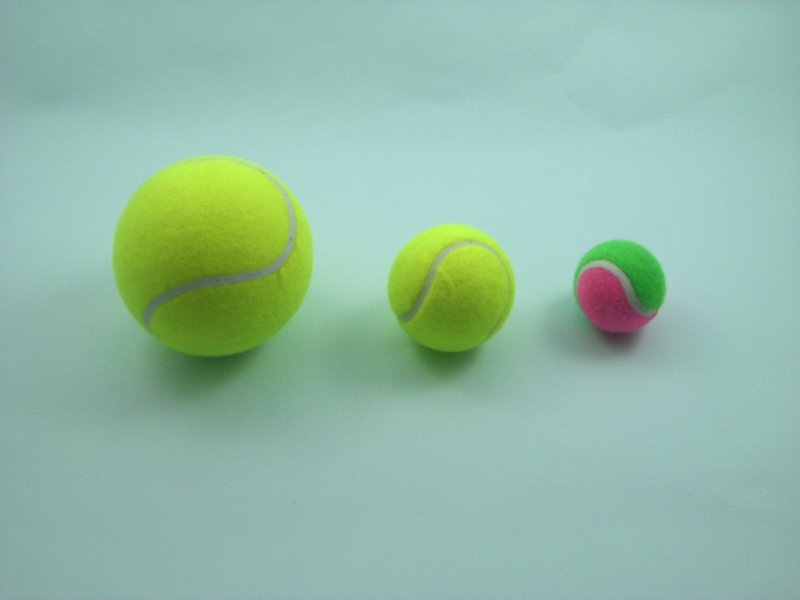 RUBBER SPONGE PET BALLS